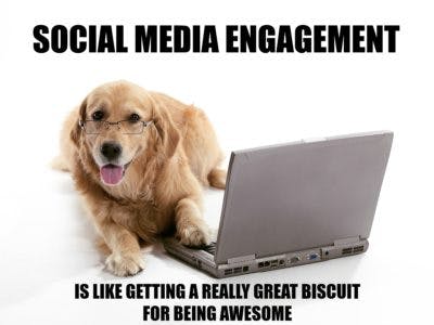 Social Media Engagement Meme with Dog on Computer