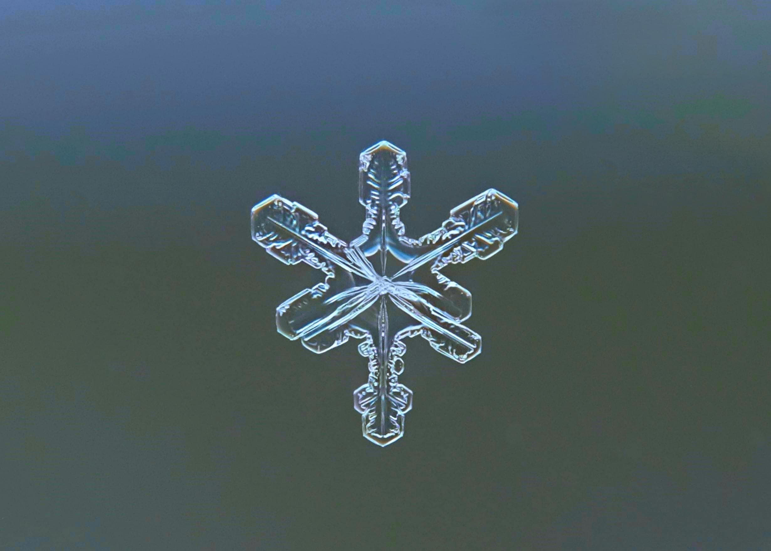 pexels-kristin-morgan-1853468-34292014