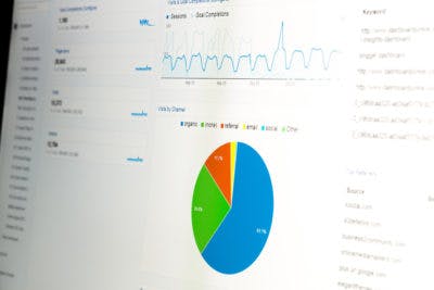 Website Analytics Platform Showing Data